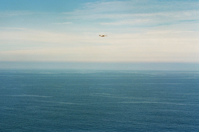 HELL'S HOLE: SHOOTING FILM ON ILLAS CIES