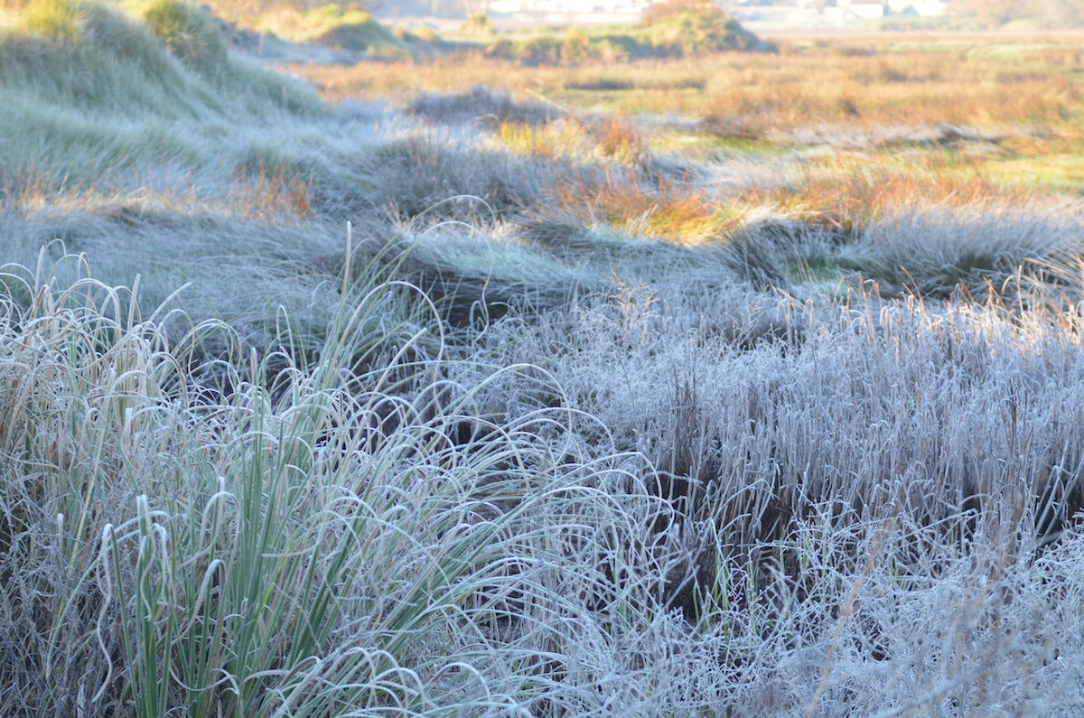 1976 DUCATI ROAD 350