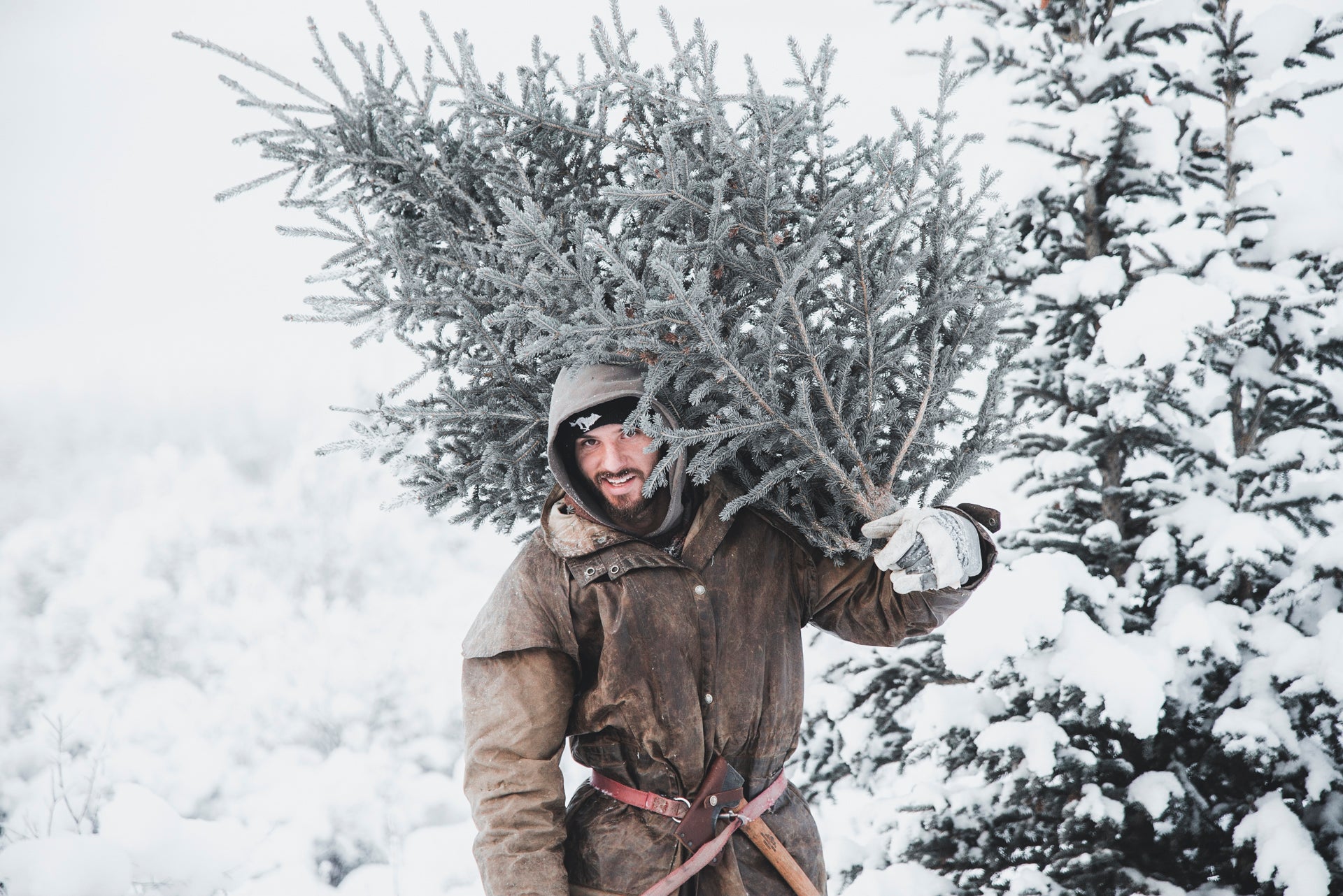 Kluane Kings – Salmon and Ice Bears