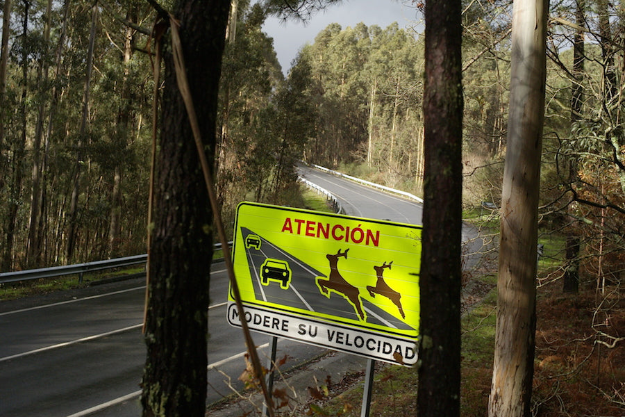 life©: THE MAKING OF