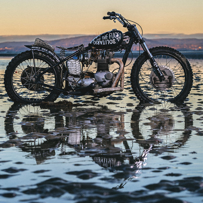 *NEW DROP* // FUNRIS X ORNAMENTAL CONIFER