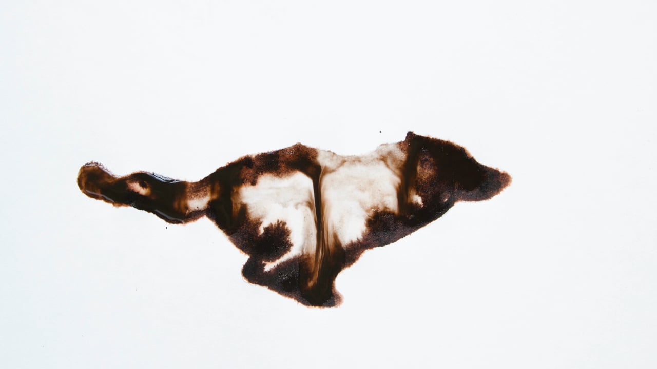 HUNGRY WOLF BY NICHOLAS COLEMAN