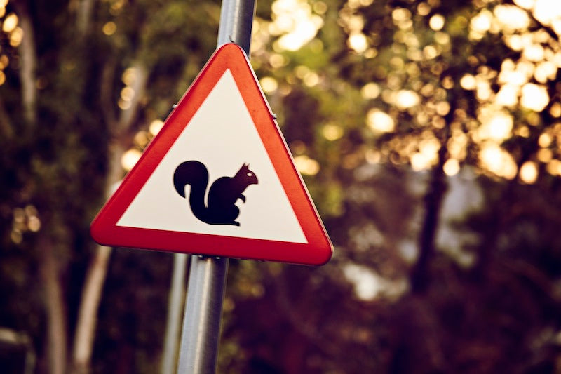 CHUPITO STARRING IN SIDEBURN #12