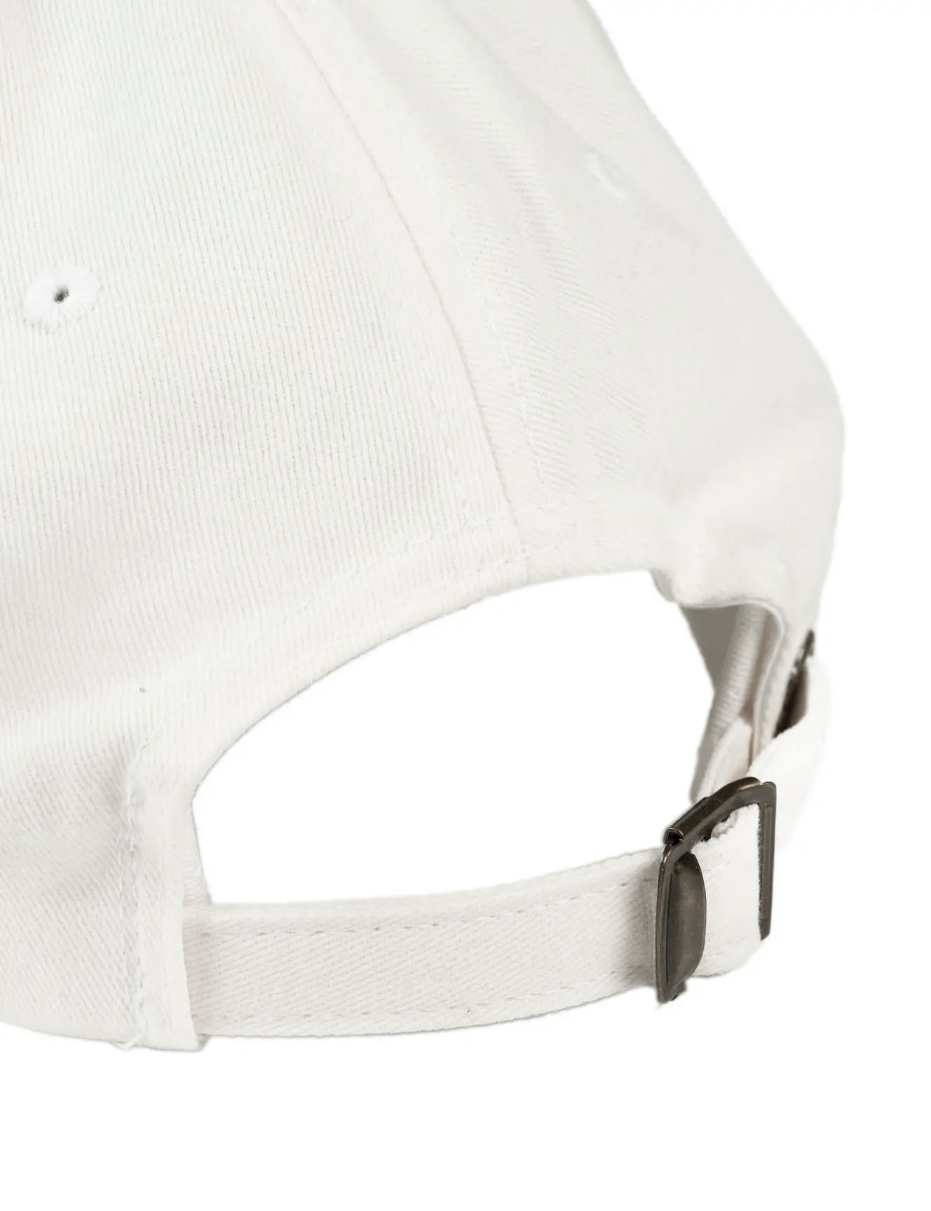 Dancing Wolves Cap