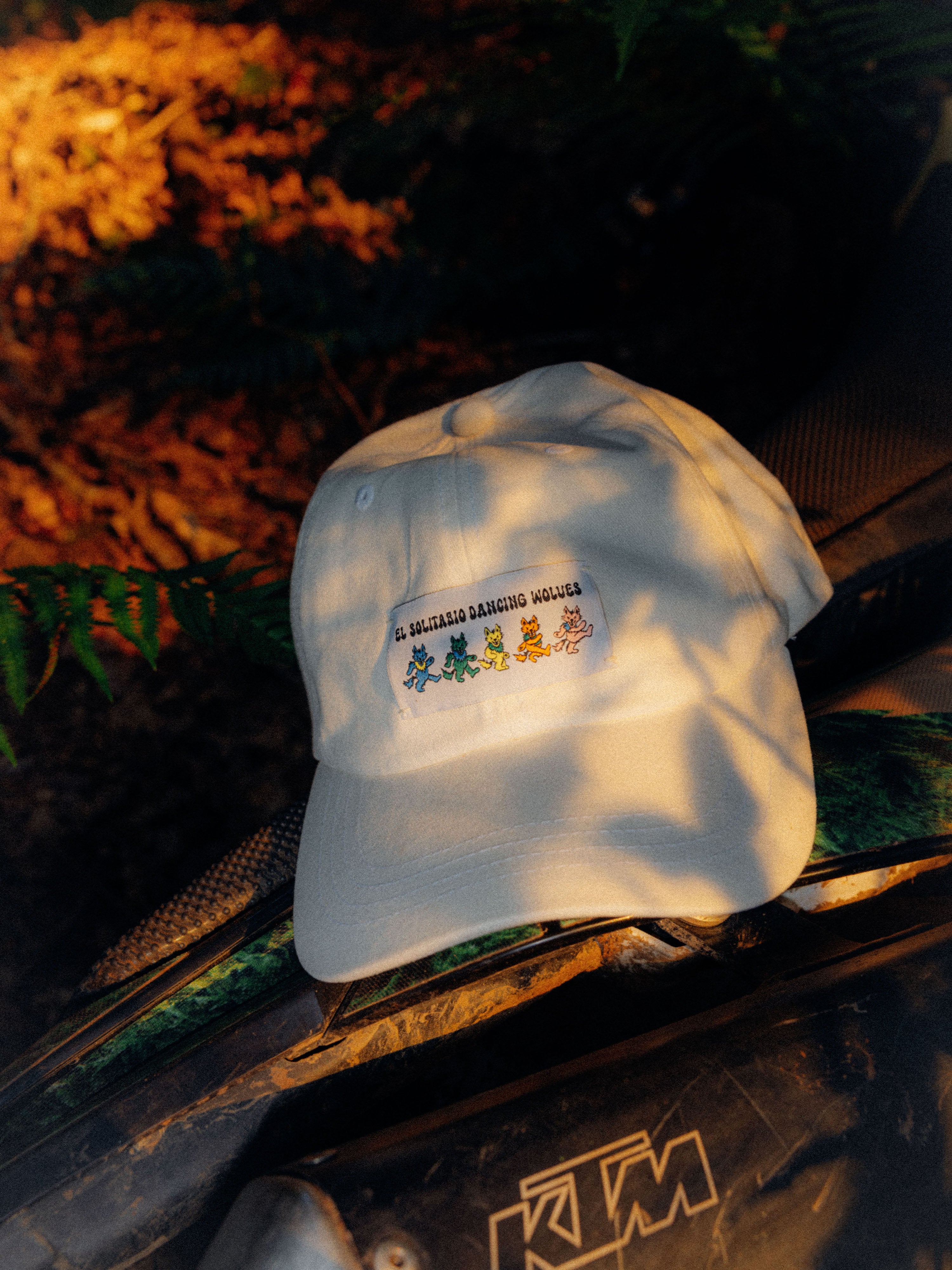 Dancing Wolves Cap