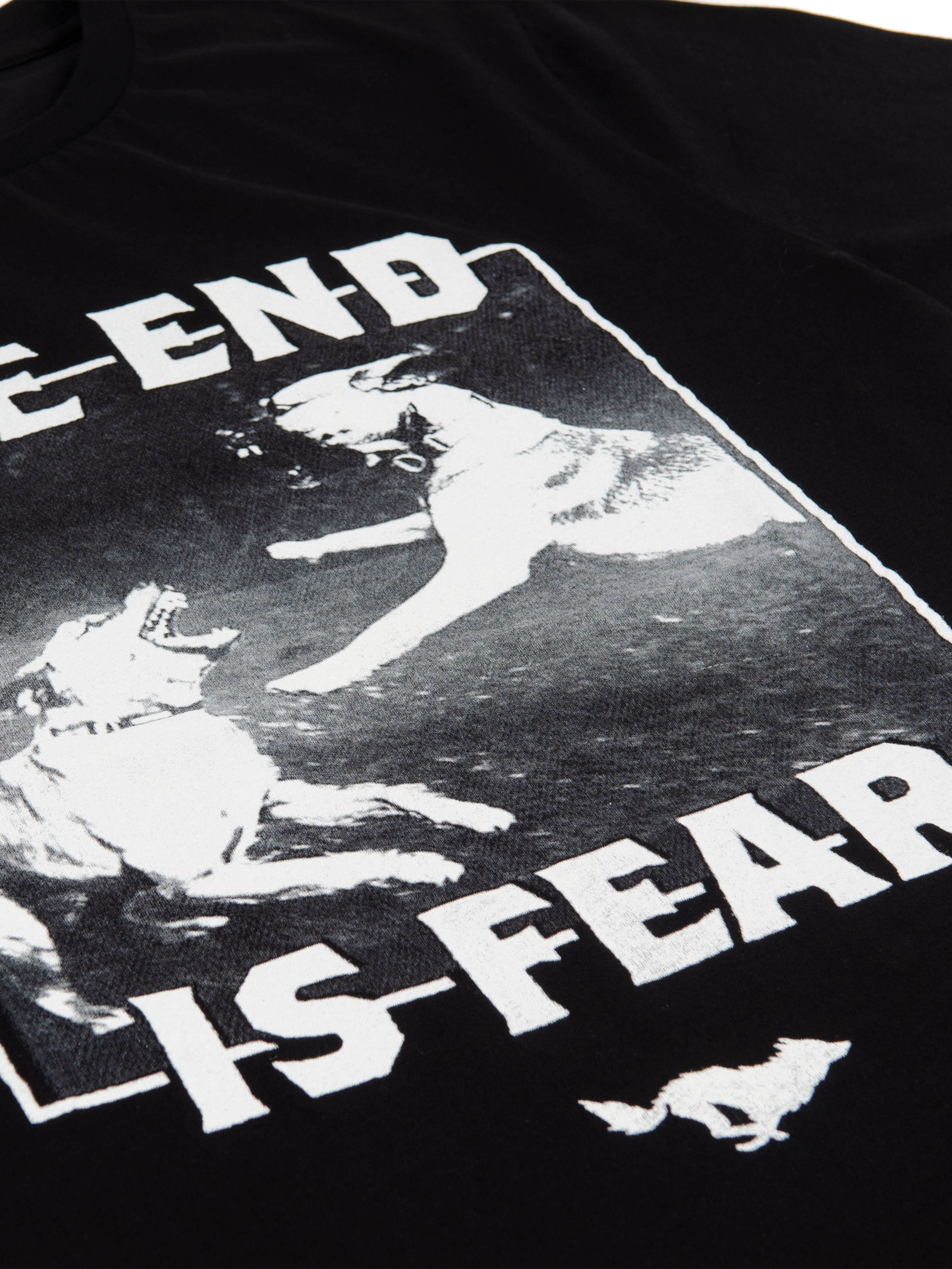 TEIF Cardona T-Shirt