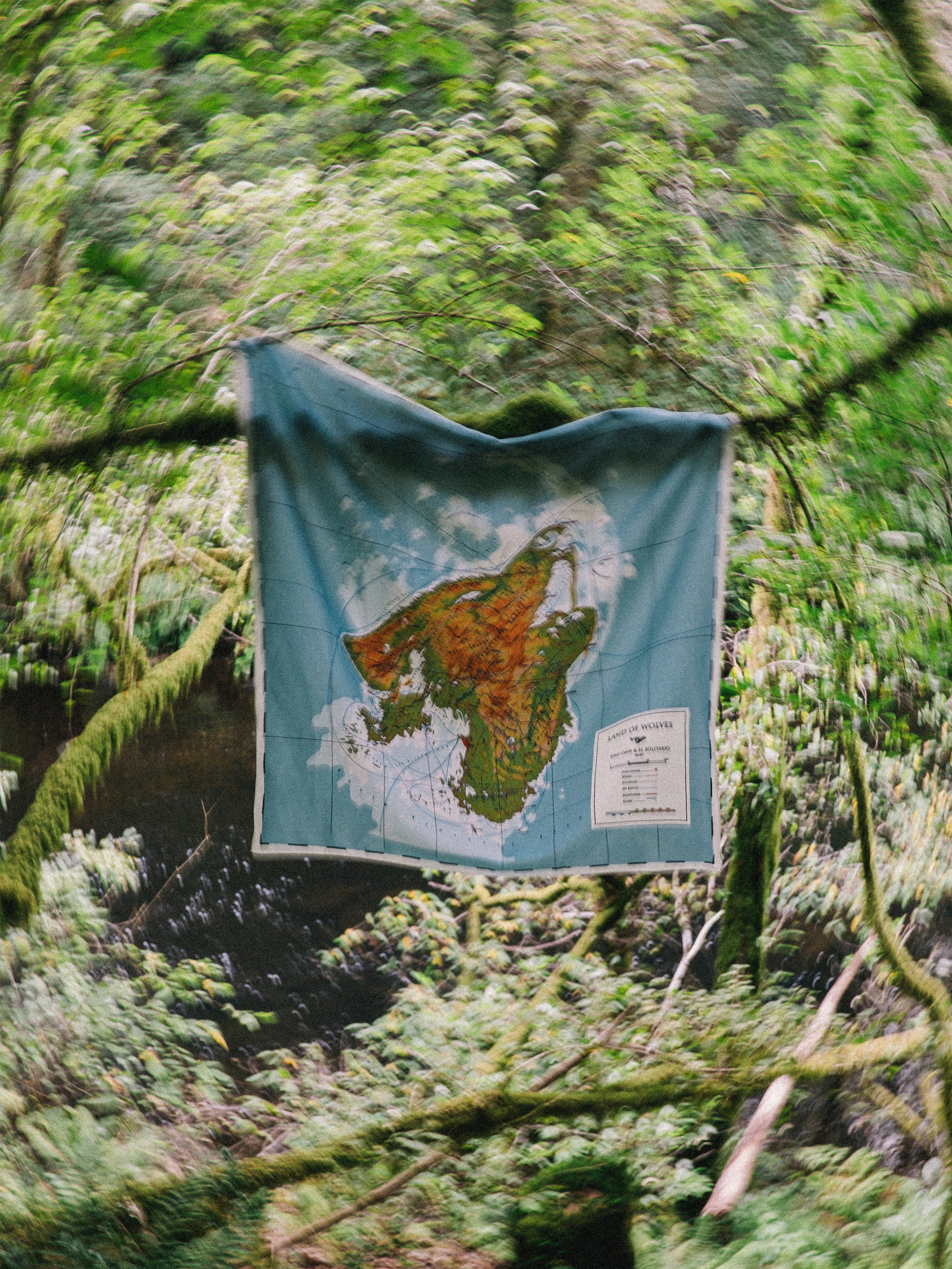 Land of Wolves Silk Scarf