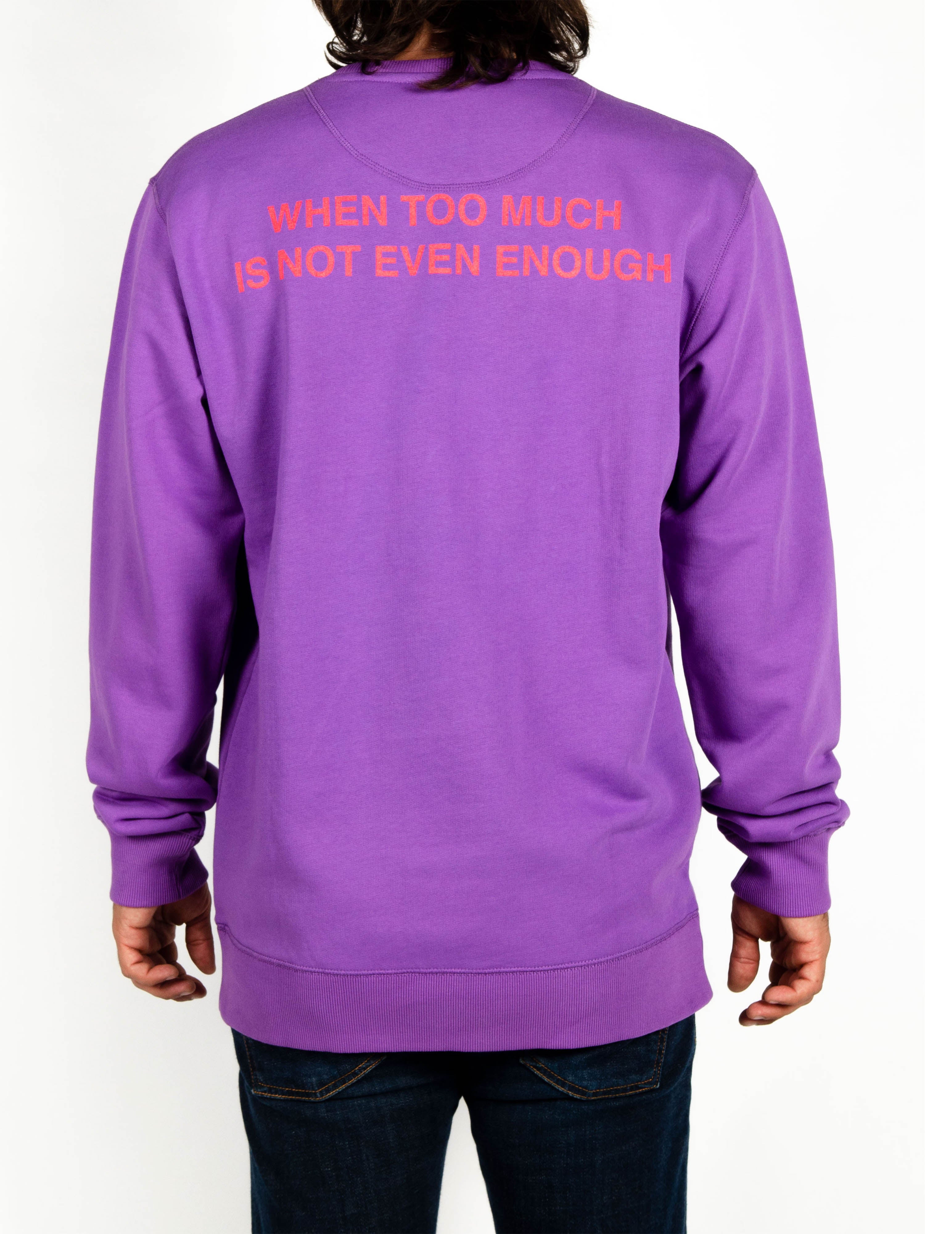 El Solitario MMX Sweatshirt. Back Model