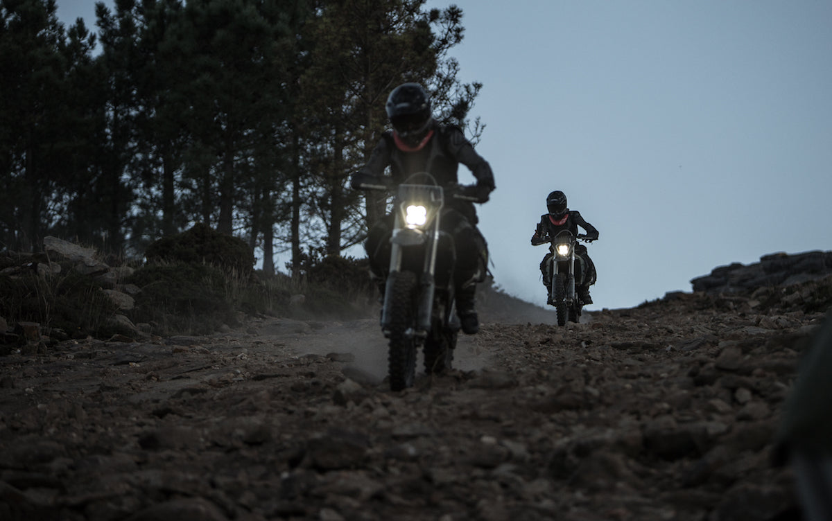 DIRT WOLVES