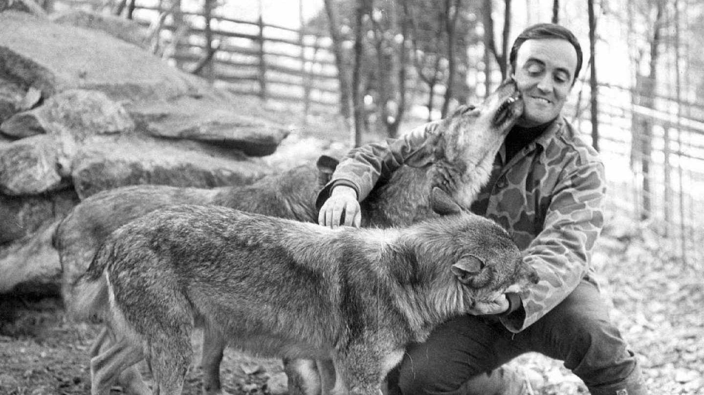 RESPECT AMONG WOLVES