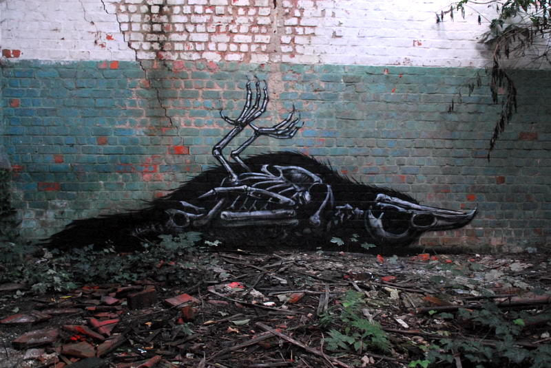 ROA